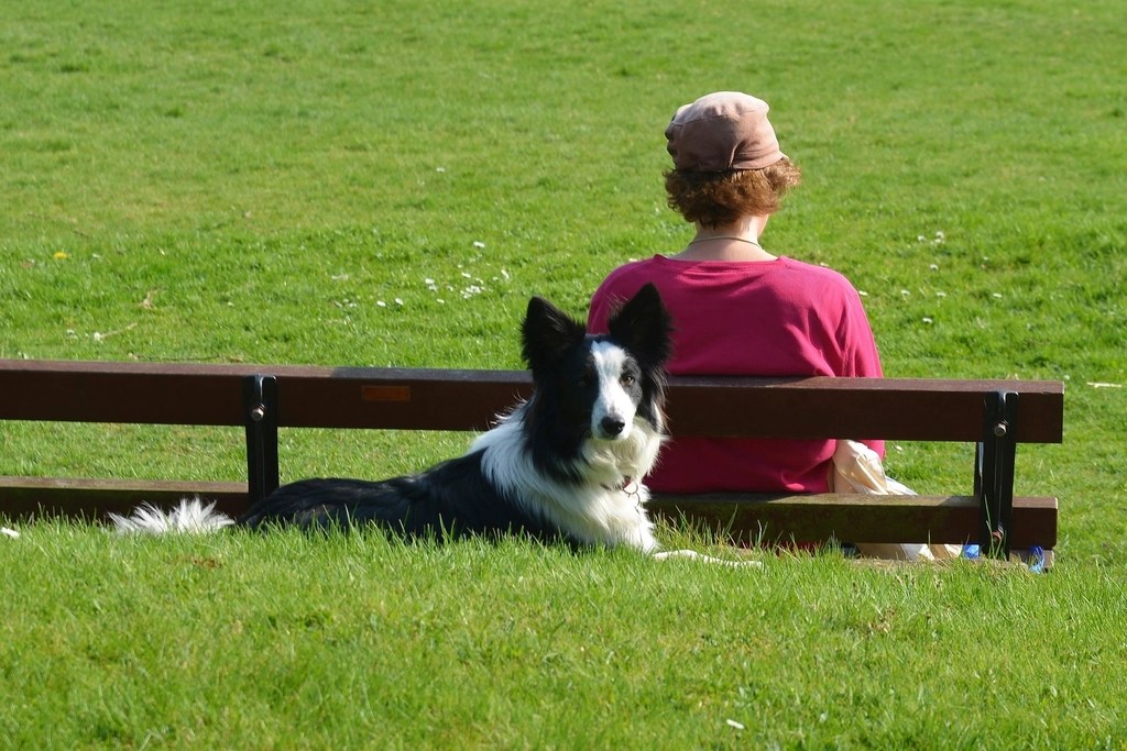 A human and their Border Collie enjoy a park