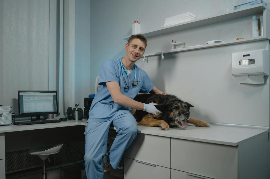 How to Afford Veterinary Care in Metro&nbsp;Detroit