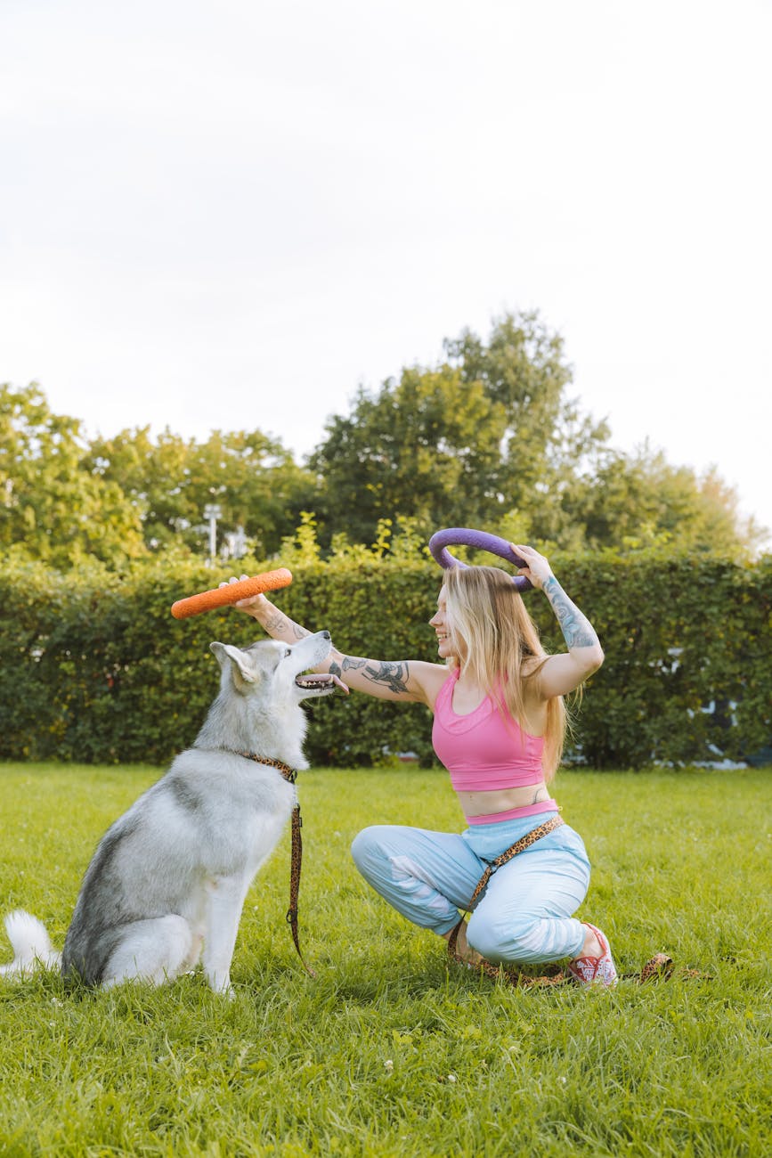 Woman playing with Husky