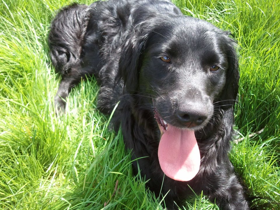 Libby when she was about 2 years old.